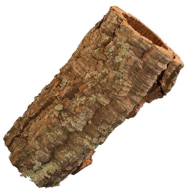 Amtra Plain Cork Bark 55 x 30 cm 