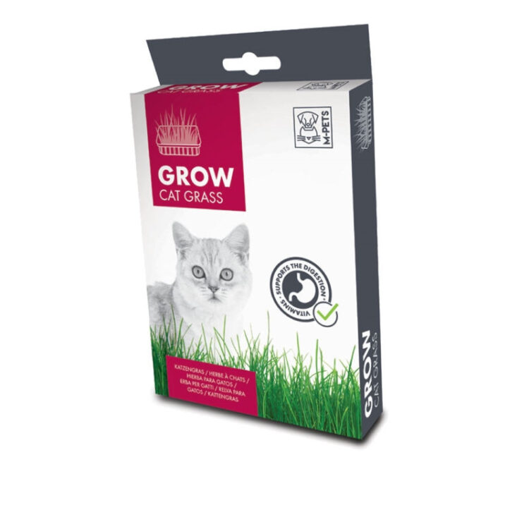 GROW Cat Grass