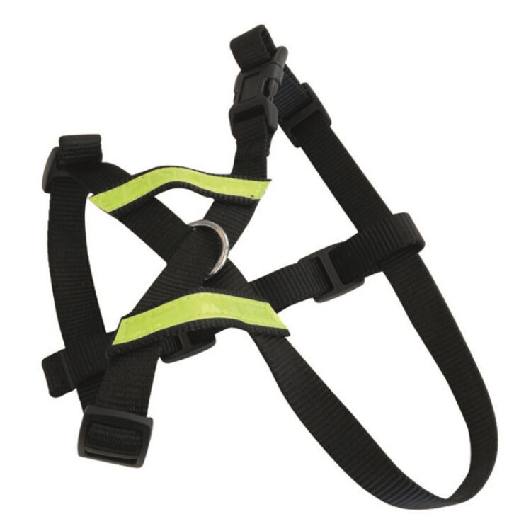 SECURA HARNESS S - SAFETY CAR HARNESS 2 IN 1