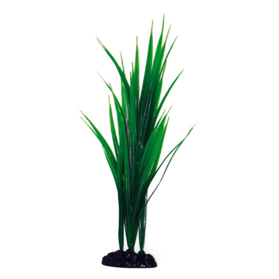PLANT CLASSIC BAMBOO SM