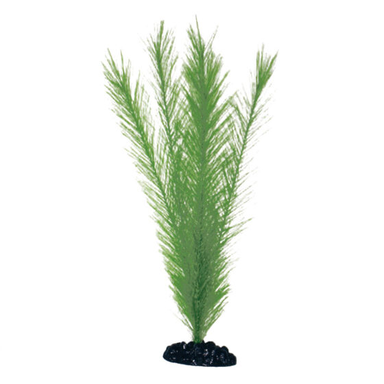 PLANT CLASSIC BLYXA XL *